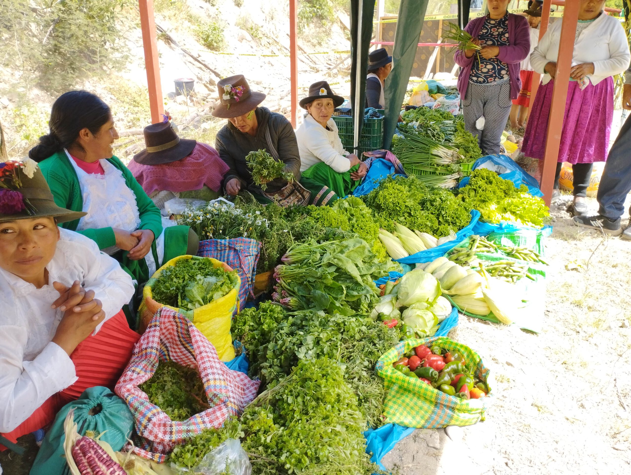 Frauen verkaufen ihr Gemüse auf dem Markt